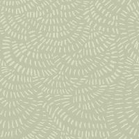 dsStella-FRR2293 Fern